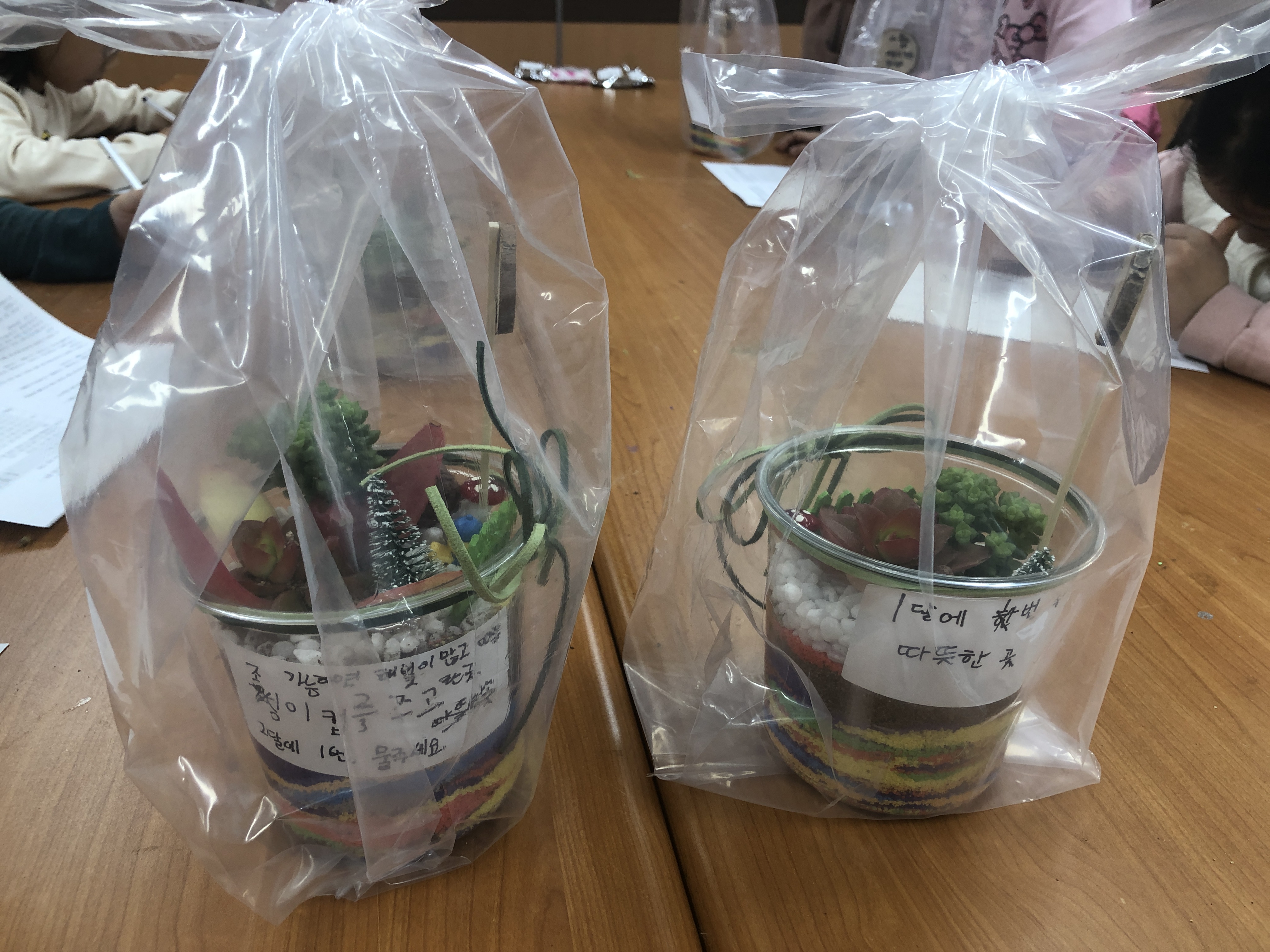 11월 달달하게체험하자 - 테라리움편